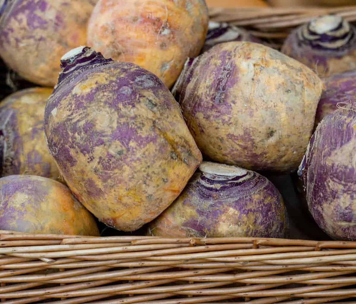 rutabagas in a basket