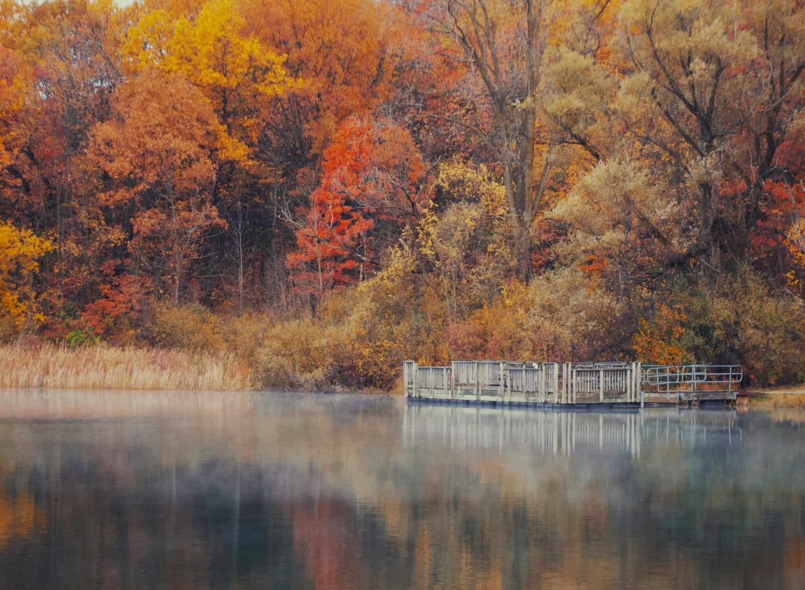 pexels aaron burden 9556644