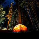 Camp
