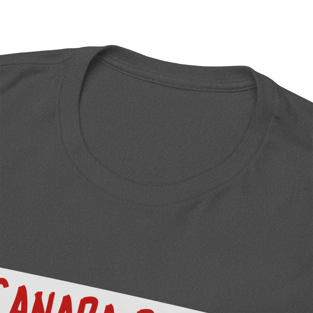 Canada Day: Where Maple Syrup Flows Like Wine: Unisex Heavy Cotton Tee - Image 144